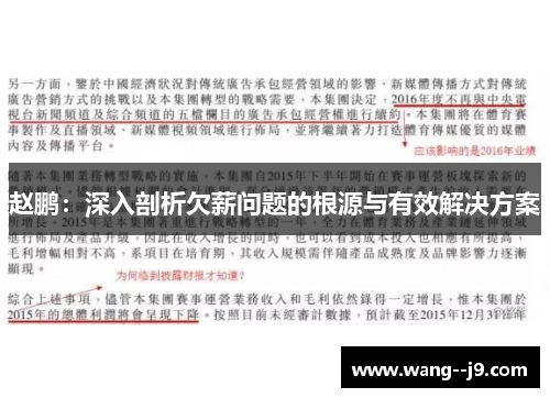 赵鹏：深入剖析欠薪问题的根源与有效解决方案