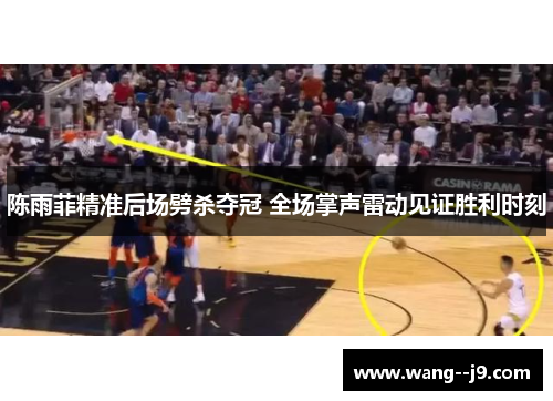 陈雨菲精准后场劈杀夺冠 全场掌声雷动见证胜利时刻 陈雨菲精准后场劈杀夺冠 全场掌声雷动见证胜利时刻