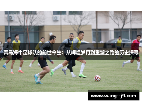 青岛海牛足球队的前世今生：从辉煌岁月到重塑之路的历史探寻