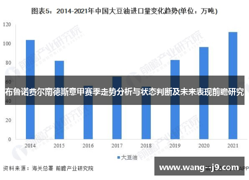 布鲁诺费尔南德斯意甲赛季走势分析与状态判断及未来表现前瞻研究 布鲁诺费尔南德斯意甲赛季走势分析与状态判断及未来表现前瞻研究