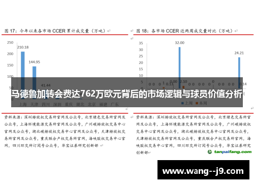 马德鲁加转会费达762万欧元背后的市场逻辑与球员价值分析 马德鲁加转会费达762万欧元背后的市场逻辑与球员价值分析