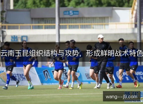 云南玉昆组织结构与攻势，形成鲜明战术特色